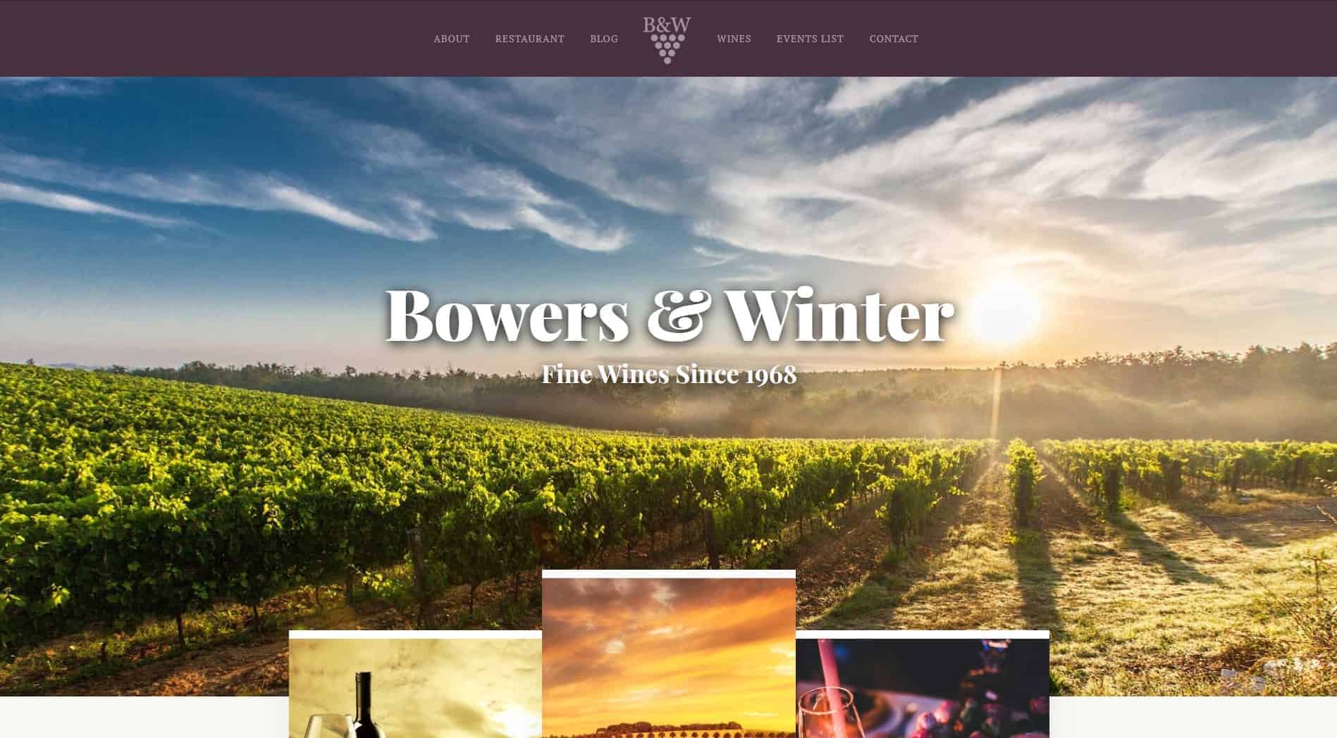 Website for Wineries