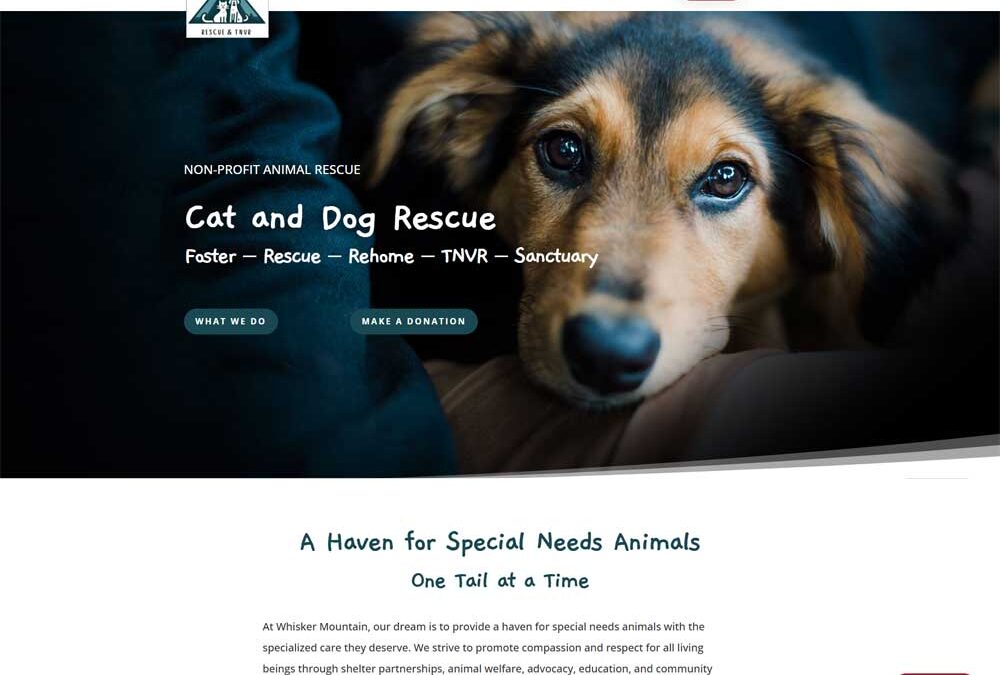 Whisker Mountain Animal Rescue