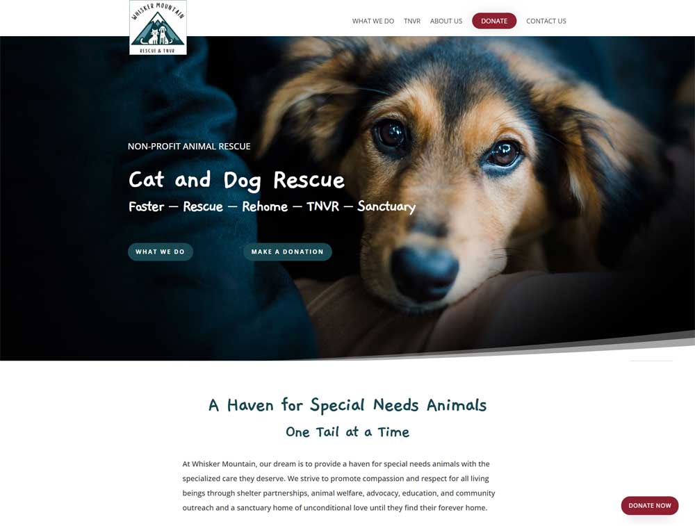 feat-whisker Whisker Mountain Animal Rescue