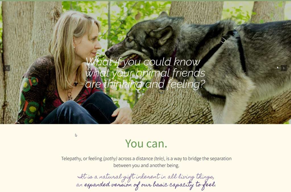 Sharon Loy Animal Communication